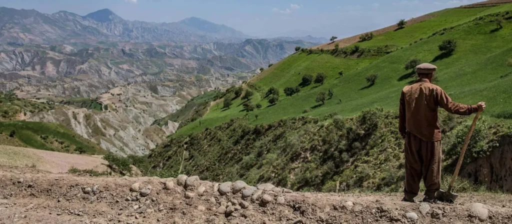 Heart of Asia: Afghanistan's Role in Regional Peace