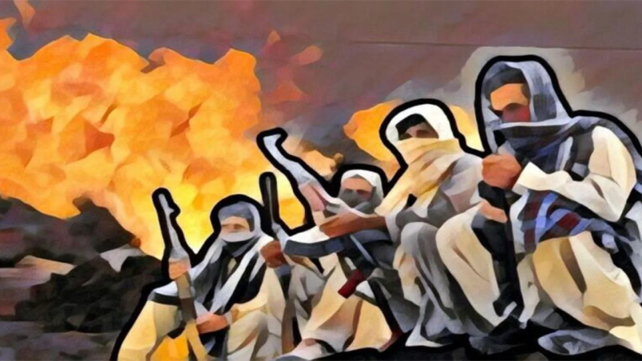 Exposed: The Ethnic Card of PTM - How Foreign Scripts Undermine National Integration