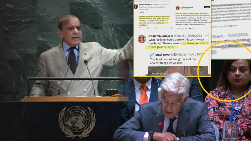 Pakistan at UNGA 2025: Strong Diplomatic Messaging, Controversy Over Delegation