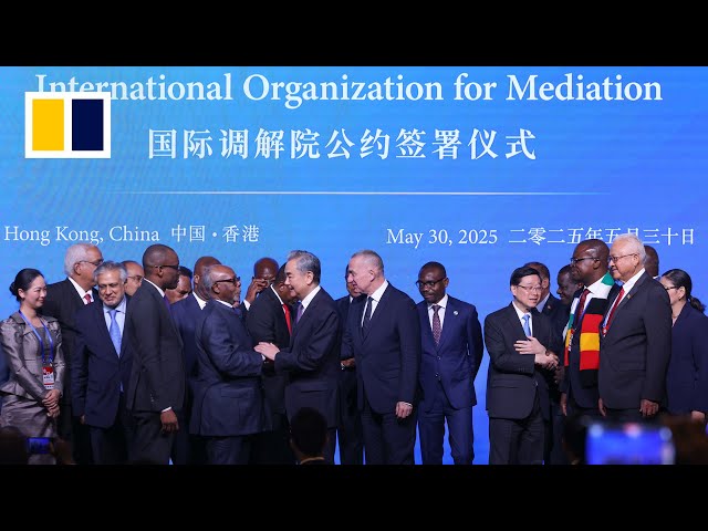 The International Organization of Mediation: A New Actor in a Divided World