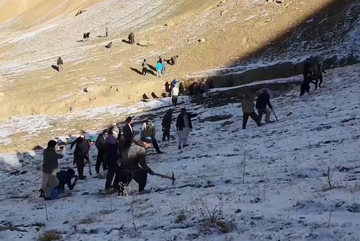 Green Future Launches Tree-Planting Campaign in Bamyan